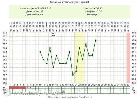 Ну-ка Профессионалы Базального дела, прошу ваших консультации