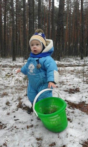 ДСМ. Новогодние заметки и не только