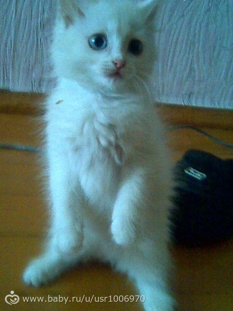 Наша Каспи****рррррр