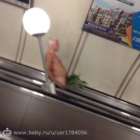 Поразили, удивили, порадовали...!)