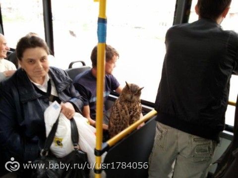 Поразили, удивили, порадовали...!)