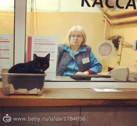 Поразили, удивили, порадовали...!)