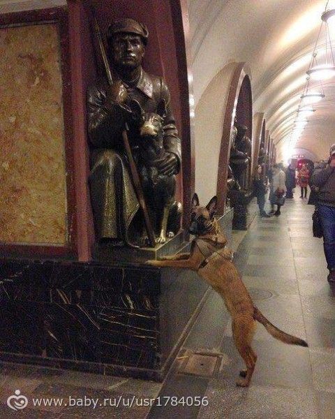 Поразили, удивили, порадовали...!)