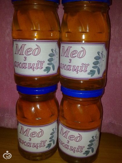 Как я провела лето?