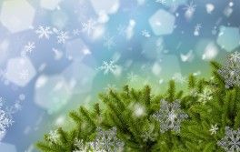 С новым годом! С новым годом!