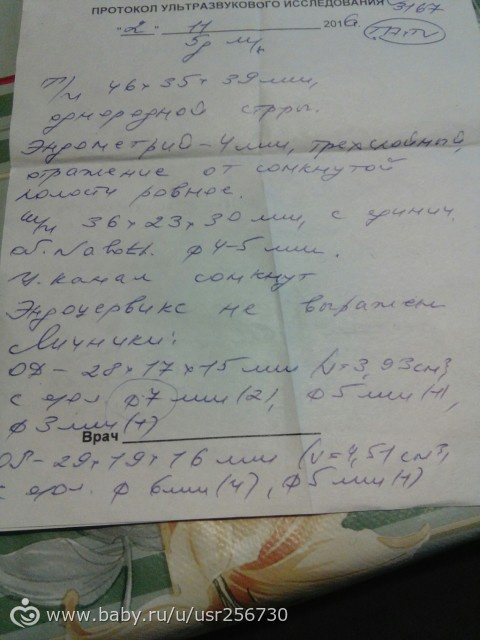 УЗИ. Фолликулометрия.