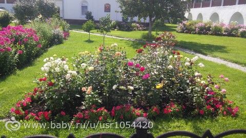 Поездка в Ярославль на неделю.