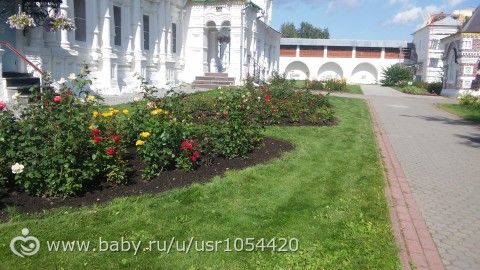 Поездка в Ярославль на неделю.