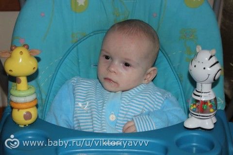 Дочки и сыночки