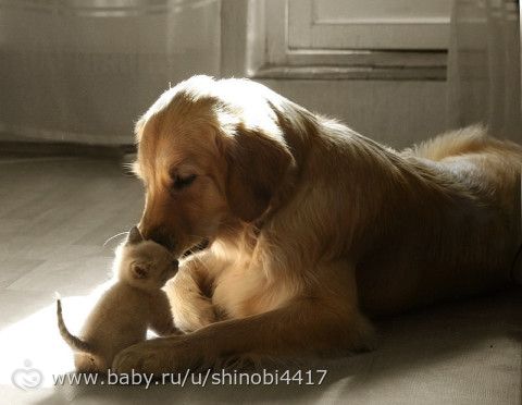 Чужих детей не бывает!!!!!