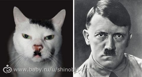 Конкурс двойников)))
