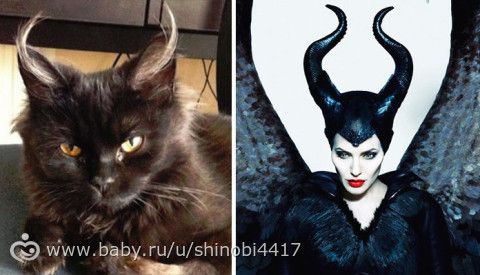 Конкурс двойников)))