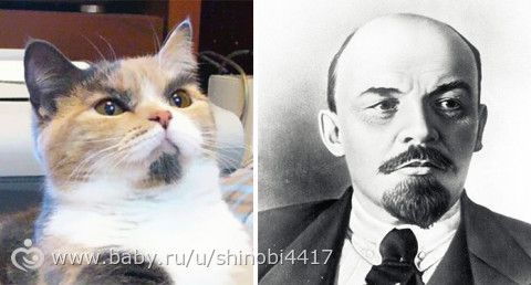 Конкурс двойников)))