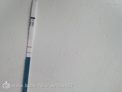 Мои две жирные....