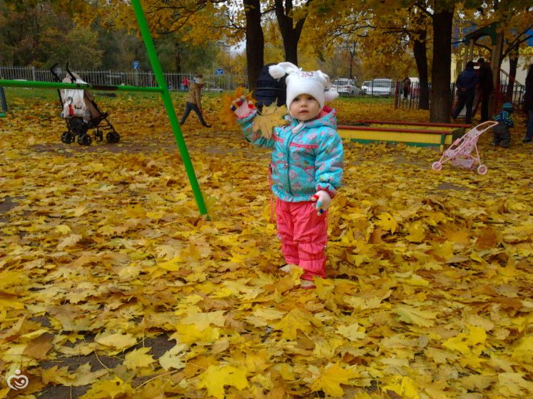 Наши занимашечки. Осень