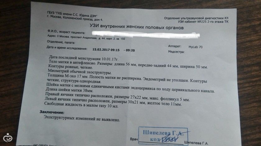 Первое УЗИ!