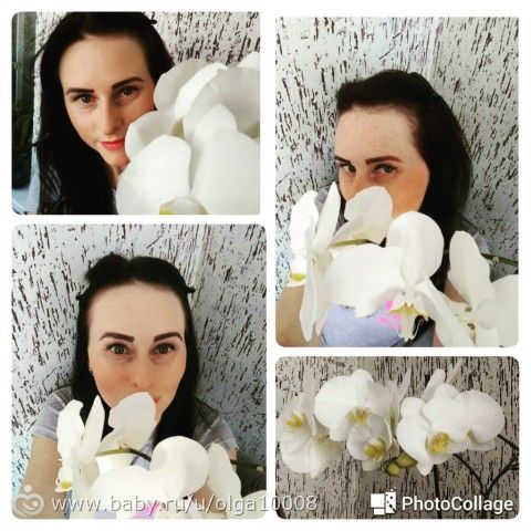 Мои орхидеи