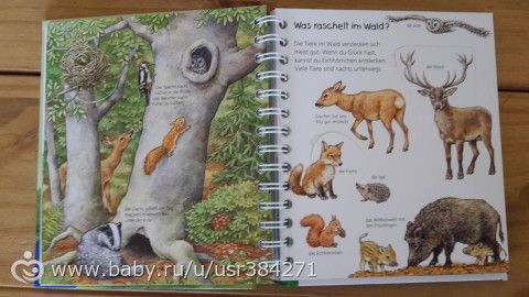 Любимые немецкие книги сына (которые переведены на русский)