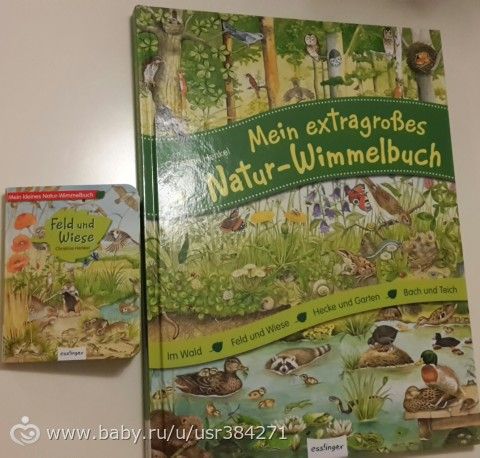 Очень красивая виммель книга о природе в двух вариантах