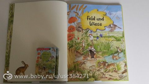 Очень красивая виммель книга о природе в двух вариантах