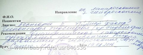 О том как я с СПКЯ поехала на Эко (много букв)