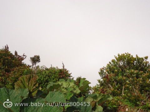 Вулкан Поас (Коста Рика)
