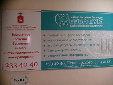 Сколько Стоит Эко В Москве Цена