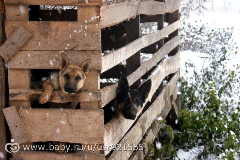 Зимушка..