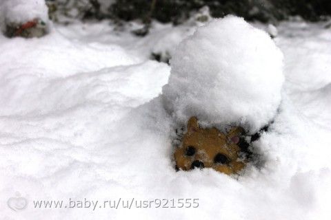 Зимушка..