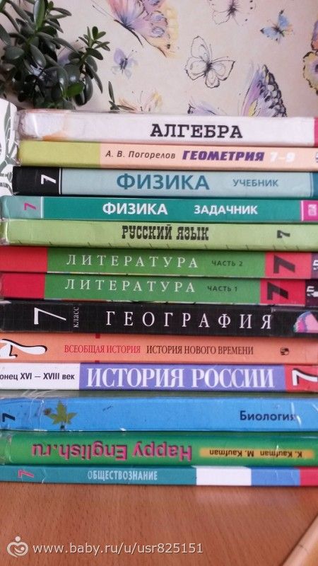 Жизнь по полсемьи.