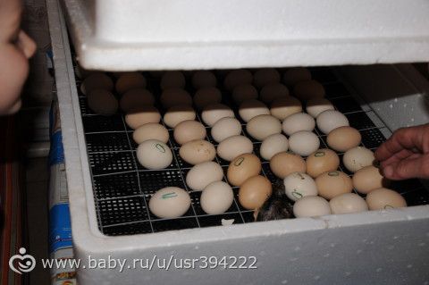 Поездка (продолжение)