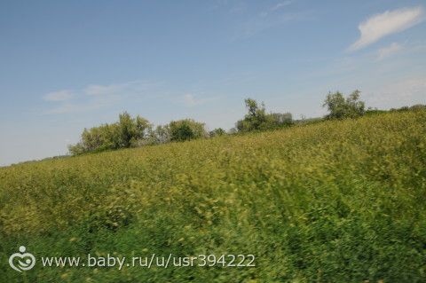 Поездка (продолжение)