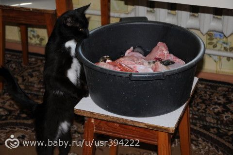 Поездка (продолжение)