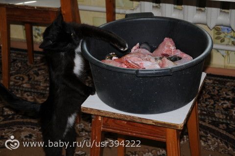 Поездка (продолжение)