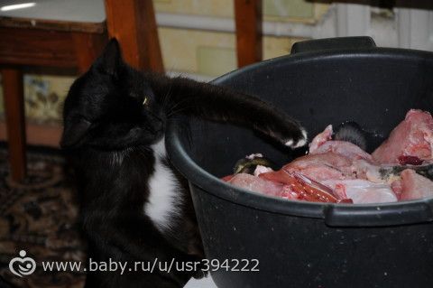 Поездка (продолжение)
