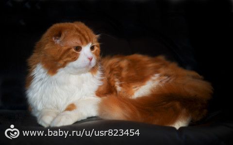 память дело такое :&amp;amp;amp;quot; тут помню- тут не помню&amp;amp;amp;quot;, а фотографии останутся очень надолго:)
