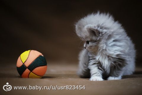 память дело такое :&amp;amp;amp;quot; тут помню- тут не помню&amp;amp;amp;quot;, а фотографии останутся очень надолго:)