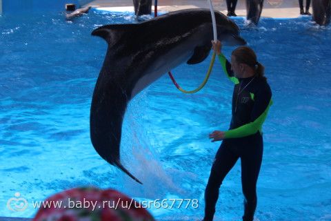 Ах, море, море!!!