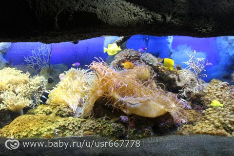Ах, море, море!!!