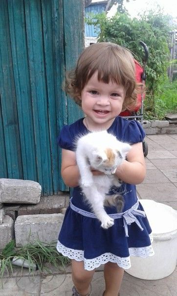 - Мама, дяй Басика, - Мама, дяй Басика,
