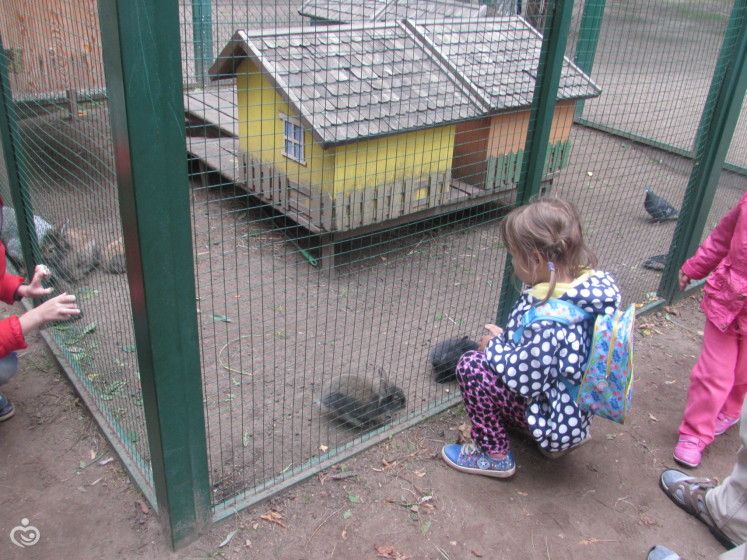 Воскресная прогулка. Парк Горького. Ч.2