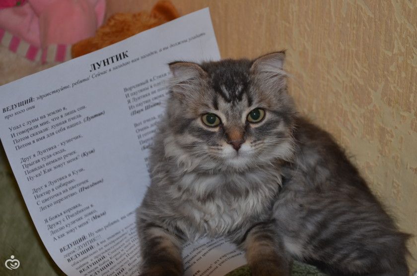 Наши 4 годика