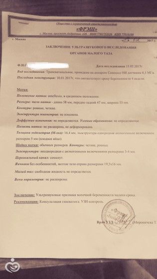 Первое УЗИ!