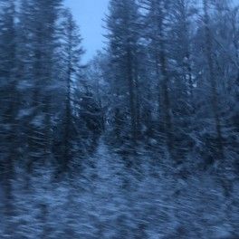 День 52 из 365 День 52 из 365