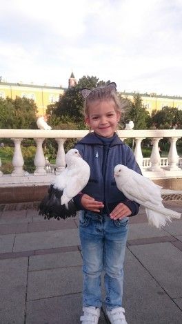 Давно ничего не писала. Давно ничего не писала.