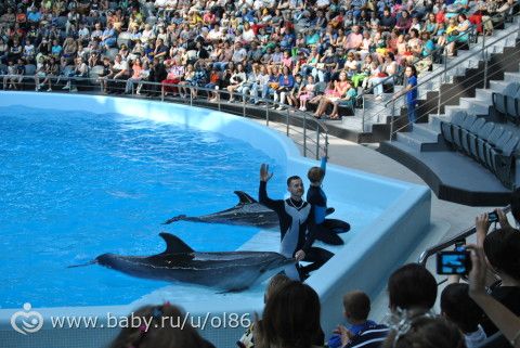 С 26 до 29 недель беременности. Август 2016
