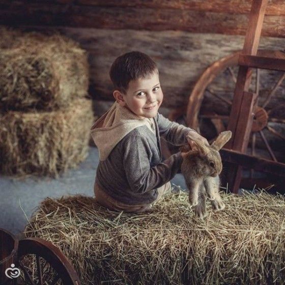 &amp;quot;Воображариум&amp;quot;. Задание на 7-й этап &amp;quot;Братья меньшие&amp;quot;.