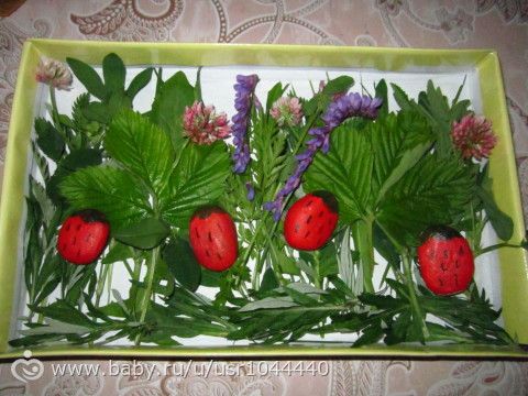 Отчет о первой неделе марафона Летний день, который проводит Юлия.