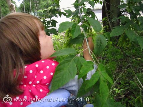 Отчет о второй неделе марафона Летний день