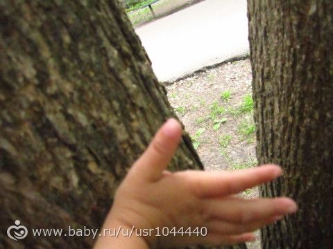 Отчет о второй неделе марафона Летний день